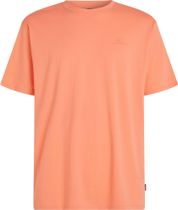 O'Neill O'neill Small Logo T-shirt