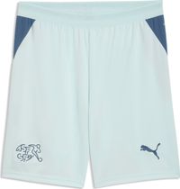 Puma SFV Shorts Replica Outdoor Shorts für Herren