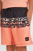 O'neill Cali Stripe 14" Swimshorts