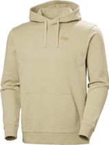Helly Hansen Core Graphic Hoodie