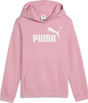 Essentials No. 1 Logo Hoodie FL G
