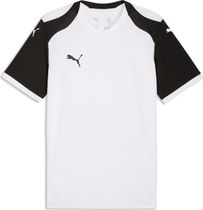 Puma teamFINAL26 Knit Jersey Men's T-shirt for any outdoor activities