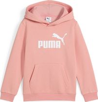 Essentials No. 1 Logo Hoodie FL PS