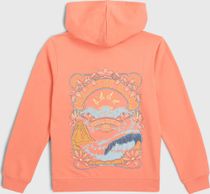 O'neill Back Print Hoodie