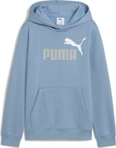 Essentials 2 Color No. 1 Logo Hoodie FL B