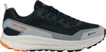 Motion Low GTX M