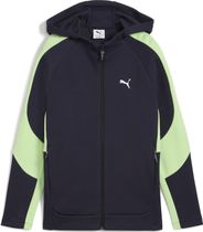 Evostripe Full-zip Hoodie DK B