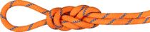 9.0 Alpine Sender Dry Rope 60m