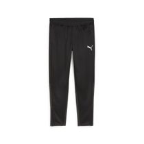 Teamgoal Training Pant