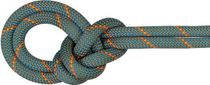 9.9 Crag Workhorse Dry Rope
