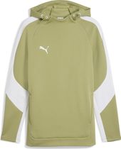 Teamevostripe Hoody