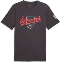 Puma öfb Ftblculture Tee