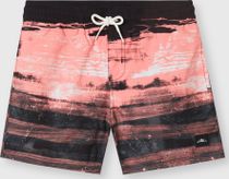 O'neill Cali Gradient 14" Swimshorts