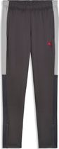 Puma Individualliga Training Pants