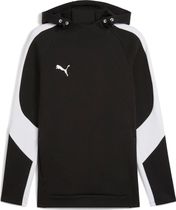 Puma Teamevostripe Hoody