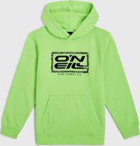 O'neill Logo Hoodie