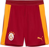 Puma GSK Training Shorts w Pockets Outdoor Shorts für Herren