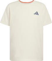 adidas Terrex Xploric Climacool Tech T-shirt