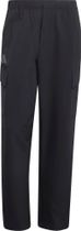 adidas Terrex Xploric Climawarm Winterized Cargo Pants Men
