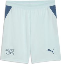 Puma SFV Shorts Replica Outdoor Shorts für Herren