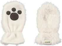 Noa Paws