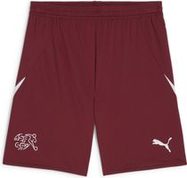 SFV Shorts Replica