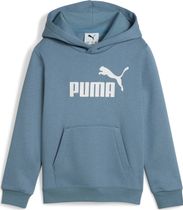 Essentials No. 1 Logo Hoodie FL PS