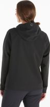 Wms Pinnacle Driclme Hoody