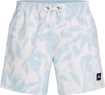 O'Neill O'neill Print 16'' Swimshorts