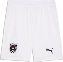 Puma öfb Shorts Replica Men's outdoor shorts