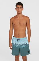 O'neill Cali Stripe 16'' Swimshorts
