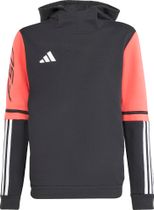 adidas F50 Sweat Hoodie Kids