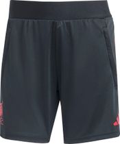 adidas Liverpool FC 25/26 Competition Training Shorts