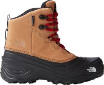 Y Chilkat V Lace WP