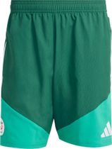 adidas Algeria 26 Downtime Shorts