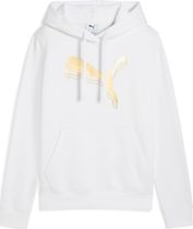 Essentials Metallic Hoodie FL