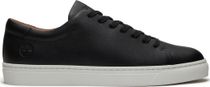 Timberland Mens Low Lace UP Sneaker