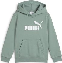Essentials No. 1 Logo Hoodie FL PS