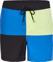 Wilder Colourblock 16'' Swim Shorts