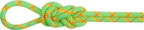 8.0 Alpine Core Protect Dry Rope 50m
