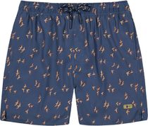 Barts Sintral Shorts