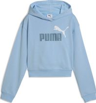 Essentials 2 Color No. 1 Logo Short Length Hoodie TR G