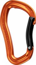 Electron Bent Gate