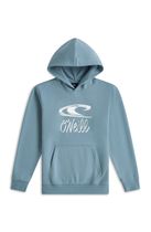 O'Neill Essentials Hoodie