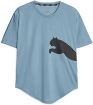 Train ALL DAY BIG CAT Tee