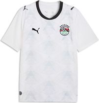 Puma EFA Away Jersey Replica Herren T-Shirt für sämtliche Outdoor Aktivitäten