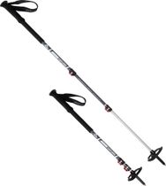 Dynalock Explore Poles