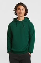 O'neill Small Logo Hoodie