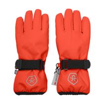 Gloves Waterproof 742488