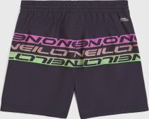 O'neill Cali Stripe 14" Swimshorts